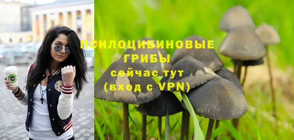 спайс Краснослободск