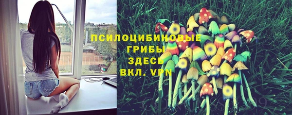 спайс Краснослободск