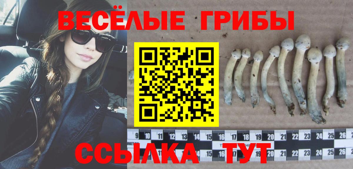 Нерюнгри  Галлюциногенные грибы MAGIC MUSHROOMS  Псилоцибиновые грибы Psilocybine cubensis  Вход с VPN 